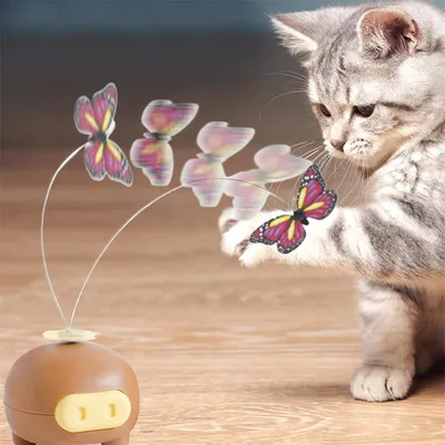 Rocky Jouet de papillon rotatif pour chat