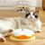 Zoomtopia Jouet intelligent pour chat