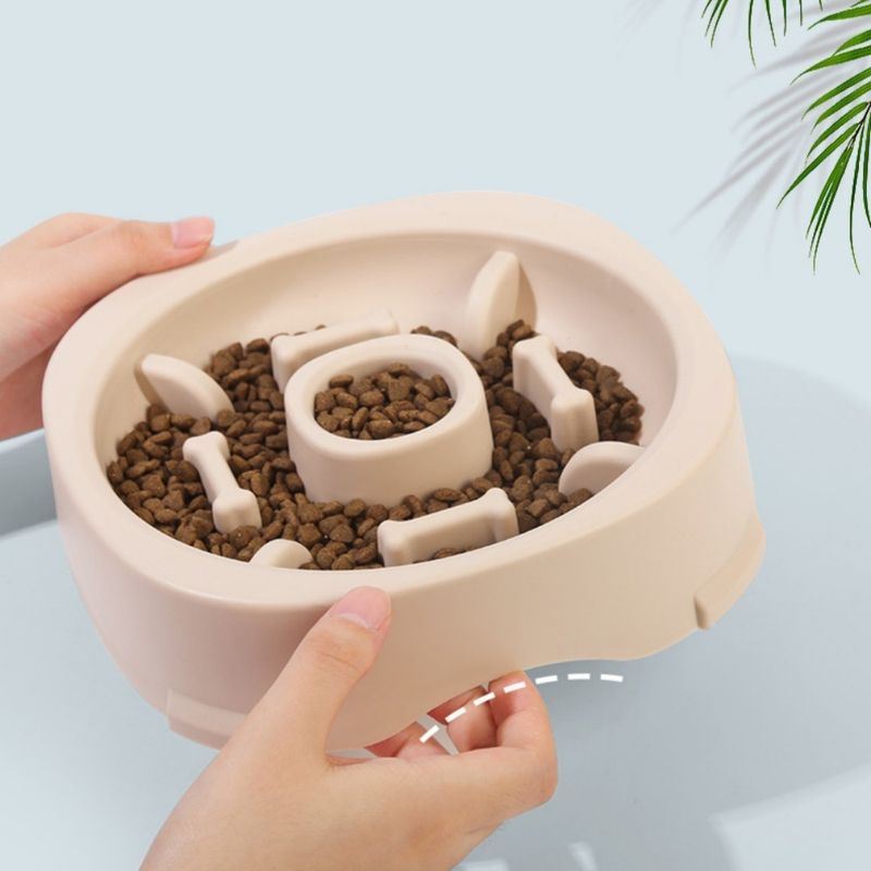 Zoomtopia Gamelle multifonctionnelle pour chat et chien