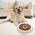 Zoomtopia Gamelle multifonctionnelle pour chat et chien