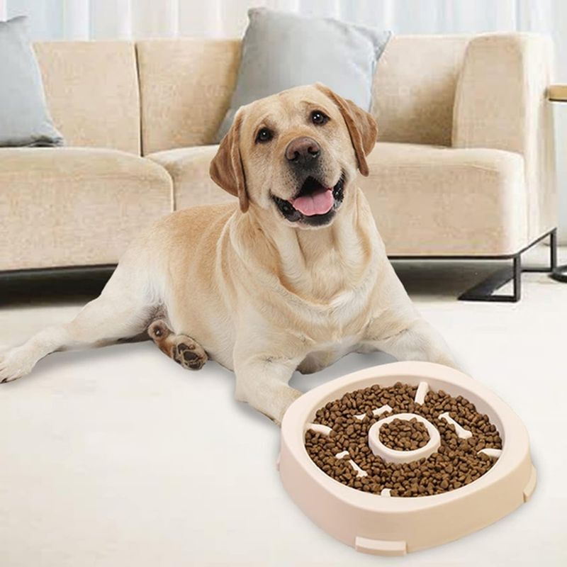 Zoomtopia Gamelle multifonctionnelle pour chat et chien