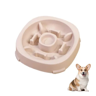 Zoomtopia Gamelle multifonctionnelle pour chat et chien