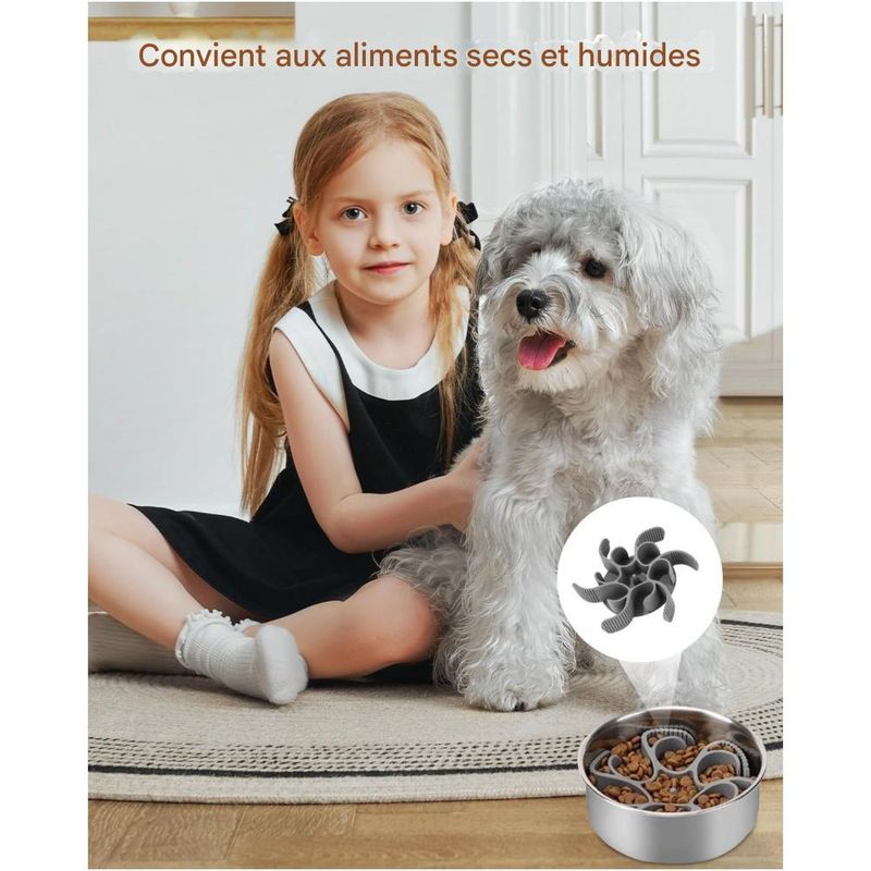 Rocky Accessoire d'alimentation lent pour chiot