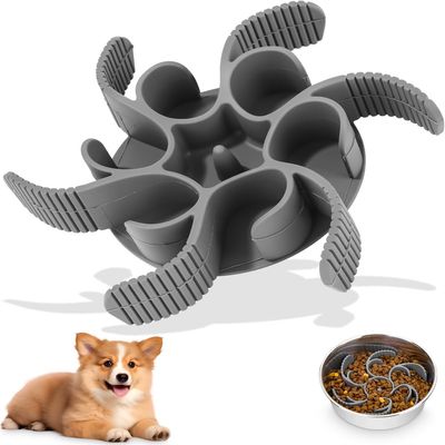 Rocky Accessoire d'alimentation lent pour chiot