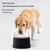 Rocky Bol d'eau pour chien