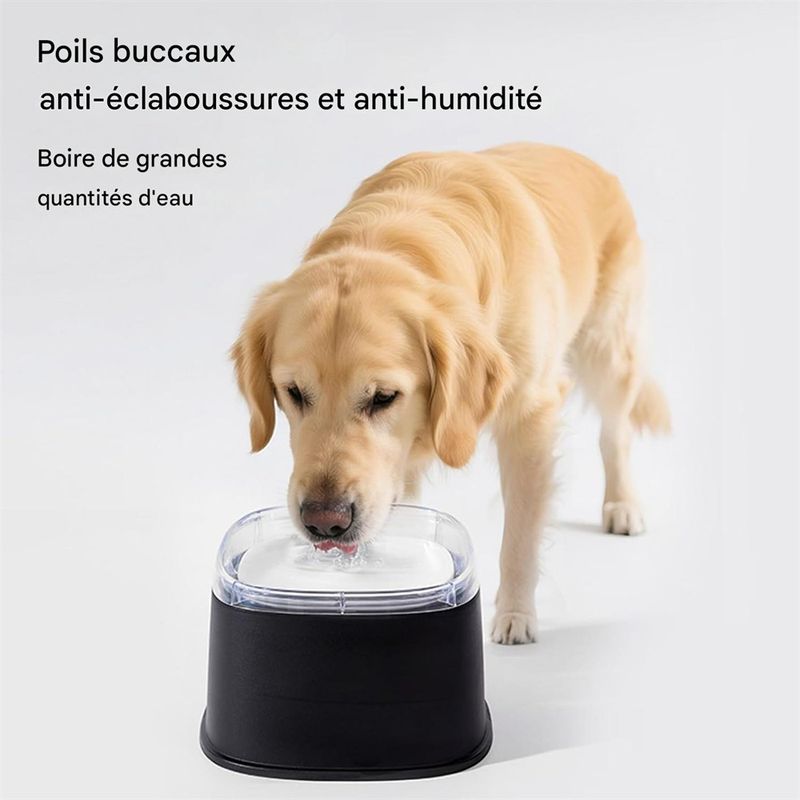 Rocky Bol d'eau pour chien
