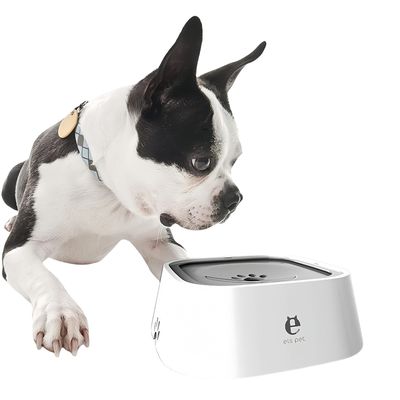 Zoomtopia Gamelle Eau Intelligente pour chien