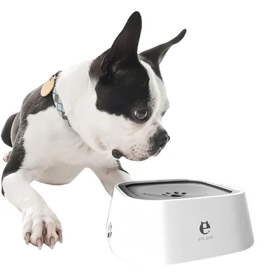 Zoomtopia Bebedero inteligente para perros