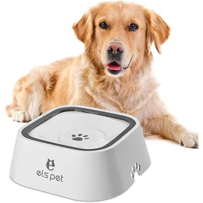 Zoomtopia Gamelle Eau Intelligente pour chien