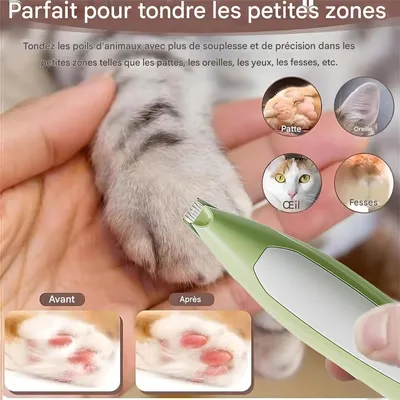 Rocky Tondeuse pour chien