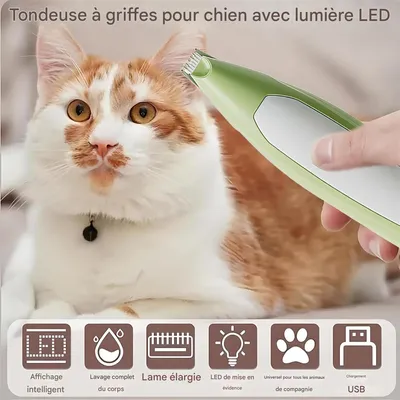 Rocky Tondeuse pour chien