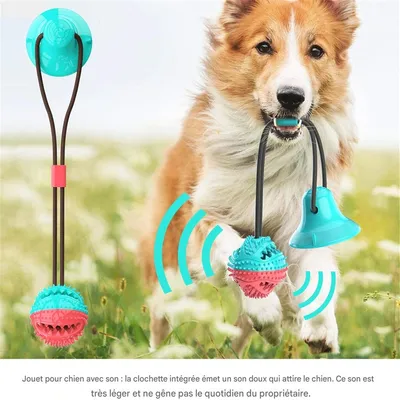 Rocky Jouets pour chiens en forme de balle