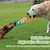 Zoomtopia Anneau à mâcher 3-en-1 pour chiens
