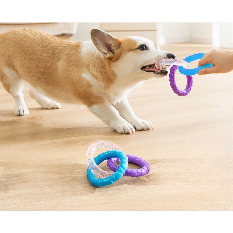 Zoomtopia Anneau à mâcher 3-en-1 pour chiens