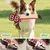 Zoomtopia Unzerstörbares Hundespielzeug