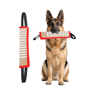 Zoomtopia Jouet Indestructible pour Chien