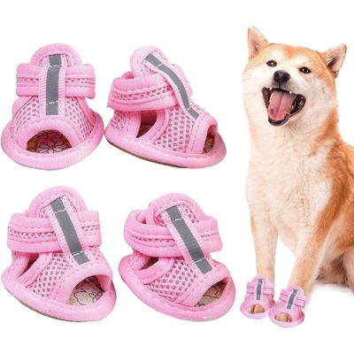 Zoomtopia Chaussures pro pour chien