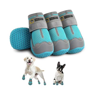 Rocky Bottines pour chien