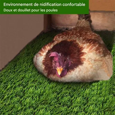 Rocky 6 Coussin pour nichoir de poules