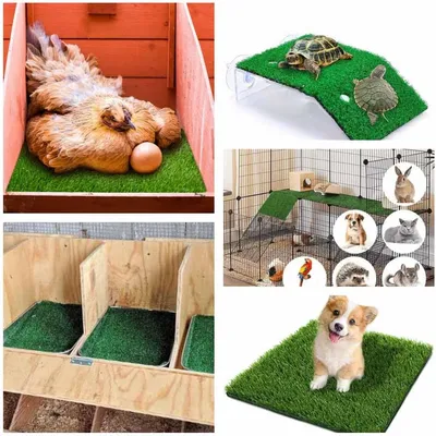 Rocky 6 Coussin pour nichoir de poules
