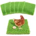 Rocky 6 Coussin pour nichoir de poules