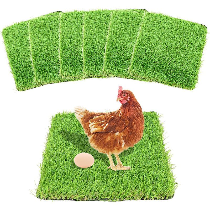 Rocky 6 Coussin pour nichoir de poules