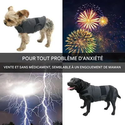 Zoomtopia Gilet apaisant pour chien