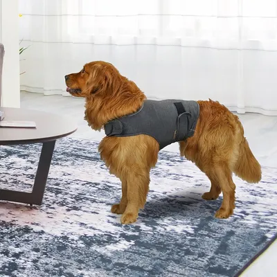 Zoomtopia Gilet apaisant pour chien