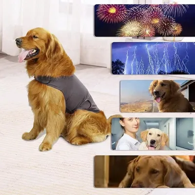 Zoomtopia Gilet apaisant pour chien