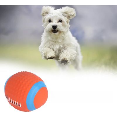 Rocky Jouet pour chien