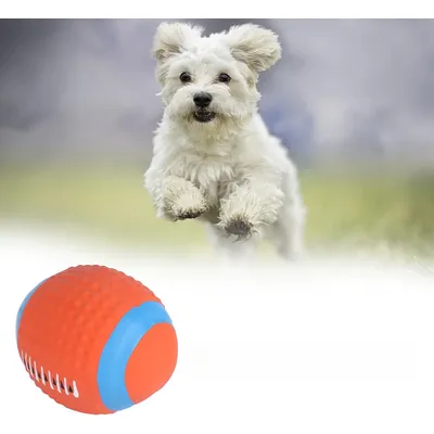 Rocky Jouet pour chien