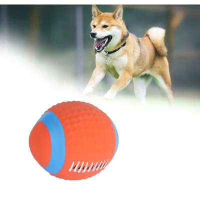 Rocky Jouet pour chien