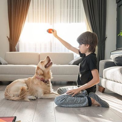 Rocky Jouet pour chien