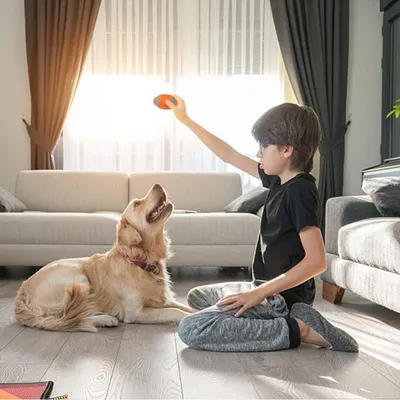 Rocky Jouet pour chien