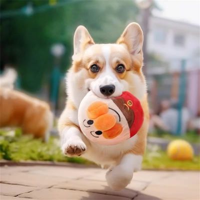 Rocky Jouets en peluche pour chiens