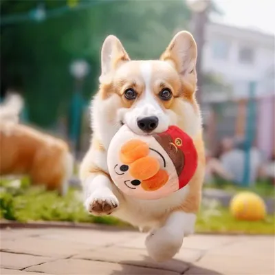 Rocky Jouets en peluche pour chiens