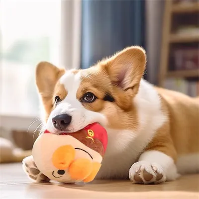 Rocky Jouets en peluche pour chiens
