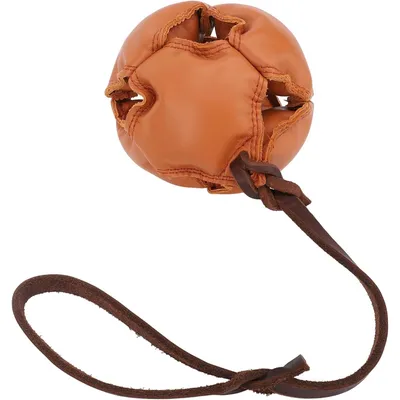 Zoomtopia Jouet pour chien énergétique