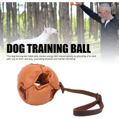 Zoomtopia Jouet pour chien énergétique