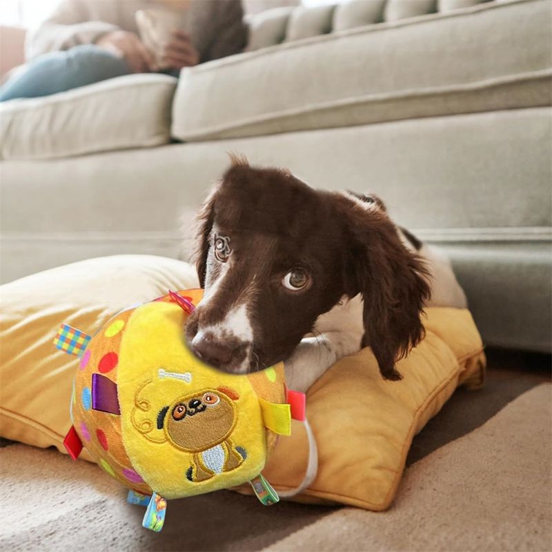 Rocky Balle en peluche pour chien