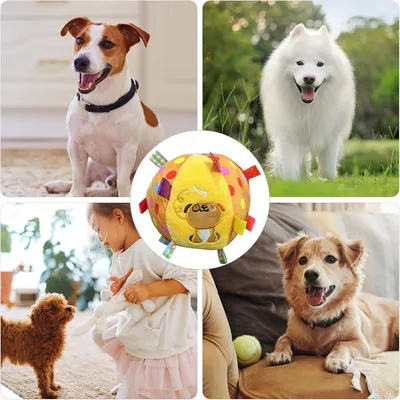 Rocky Balle en peluche pour chien