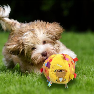 Rocky Balle en peluche pour chien