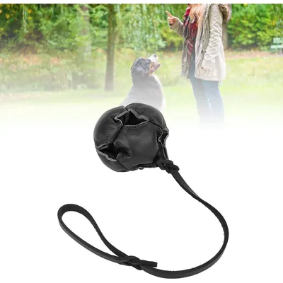 Zoomtopia Jouet pour chien énergétique