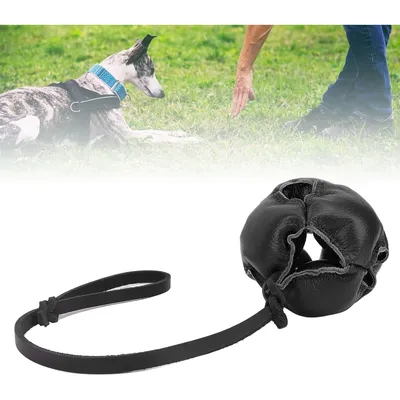 Zoomtopia Jouet pour chien énergétique