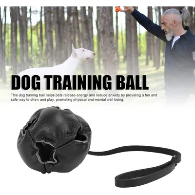 Zoomtopia Jouet pour chien énergétique