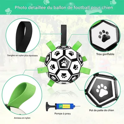 Pawzy Balle de football pour chien