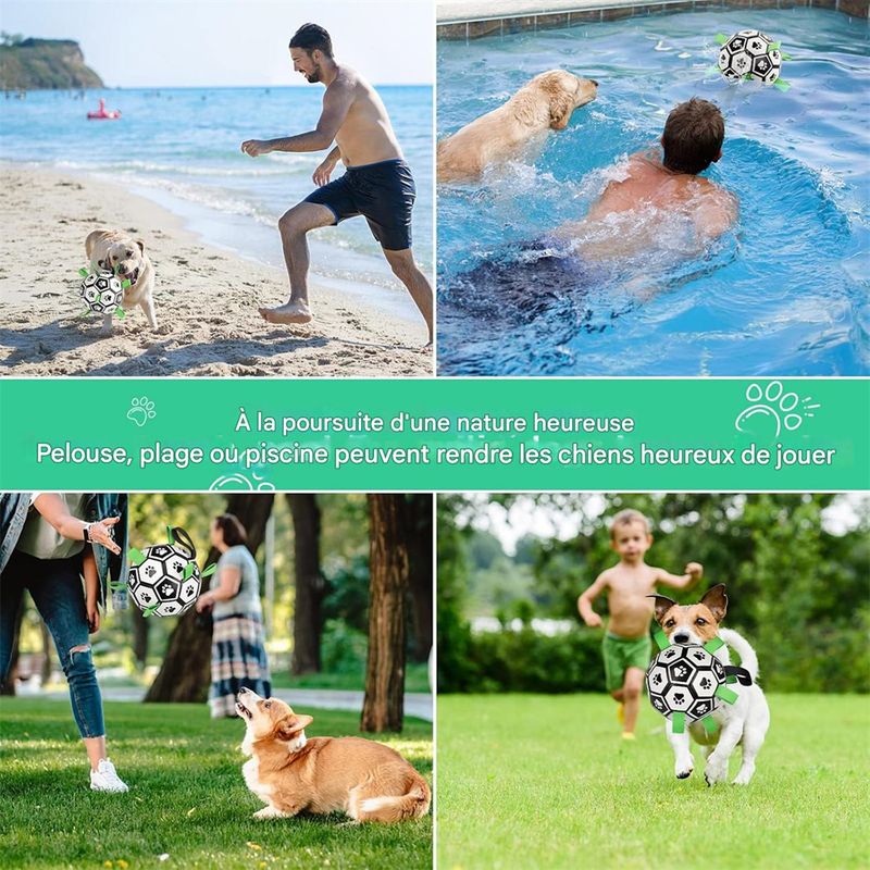 Pawzy Balle de football pour chien