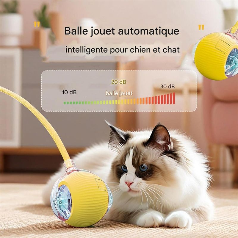 Rocky Jouet à bille roulante pour chat