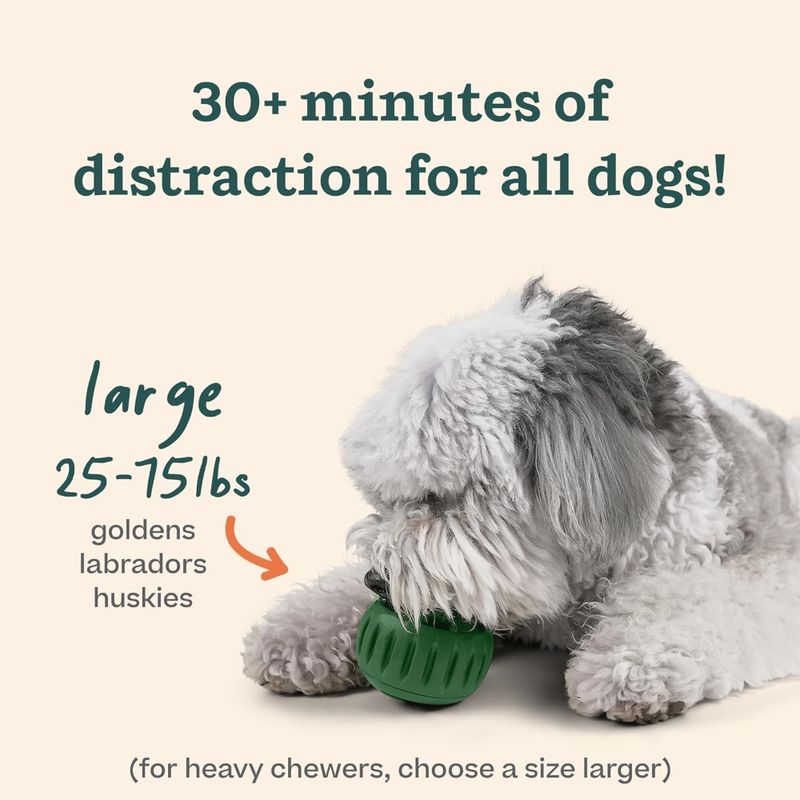 Zoomtopia Jouet pour chien anti - bave
