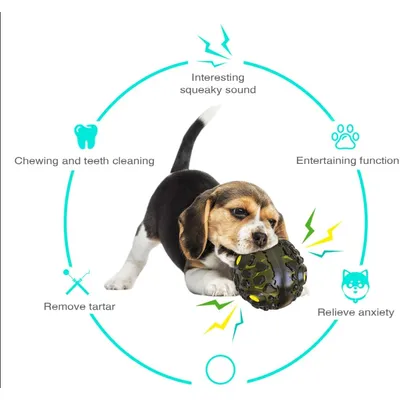 Zoomtopia Jouet éducatif "Météorite"